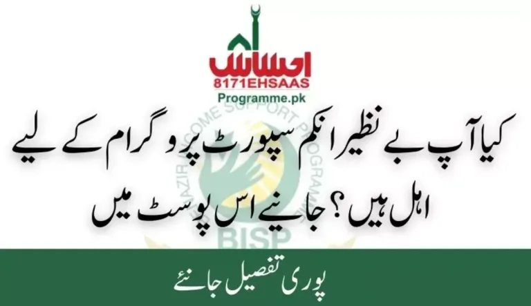 8171 BISP Result Check Online By CNIC | January 2026