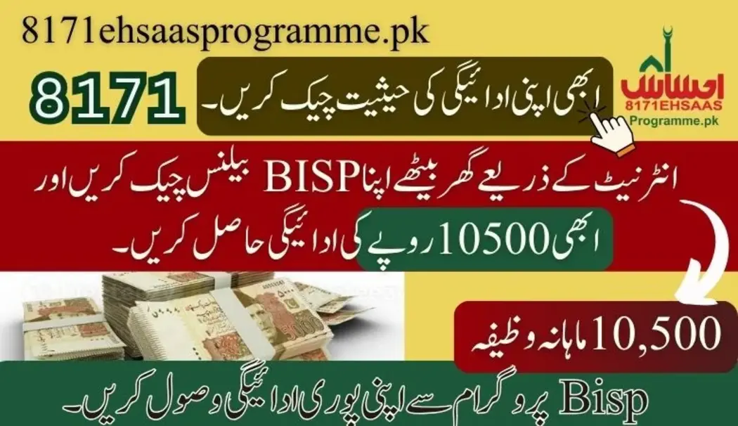 8171 bisp balance check online 2024
