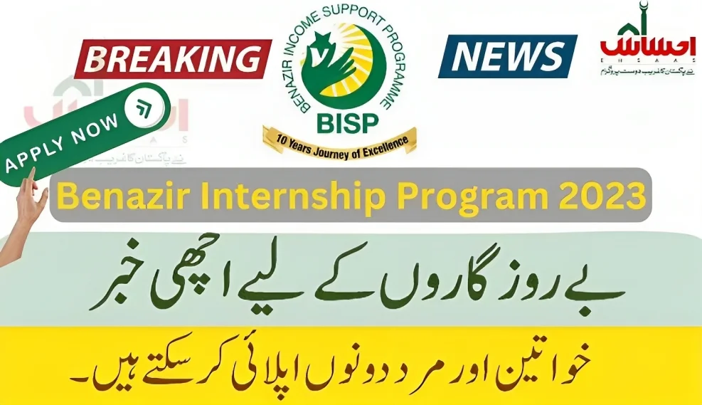 Benazir Internship Program 2023 