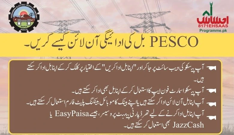 Online Payment of PESCO Bill 