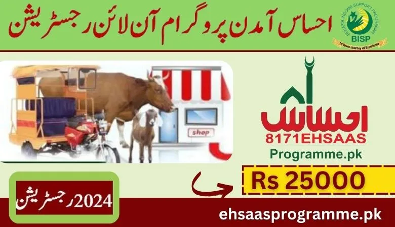  8171 Ehsaas Amdan Program Online Registration 2024