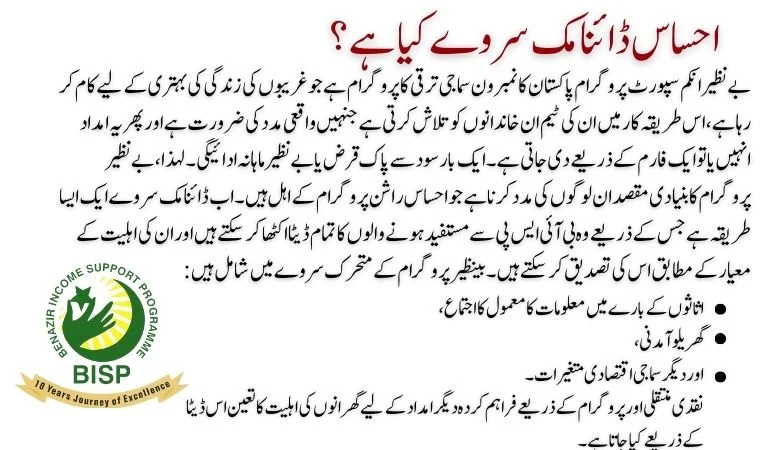 Dynamic survey detailed information for all the beneficaries