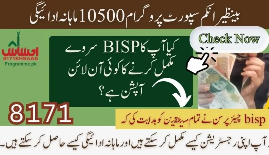 کیا آپ کے بینظیر سروے کو مکمل کرنے کا کوئی آن لائن آپشن ہے؟