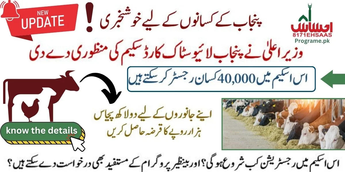 CM Approves Punjab Livestock Card Scheme 2024 With 2.5 Lakh Interest-Free Loans For 40,000 People