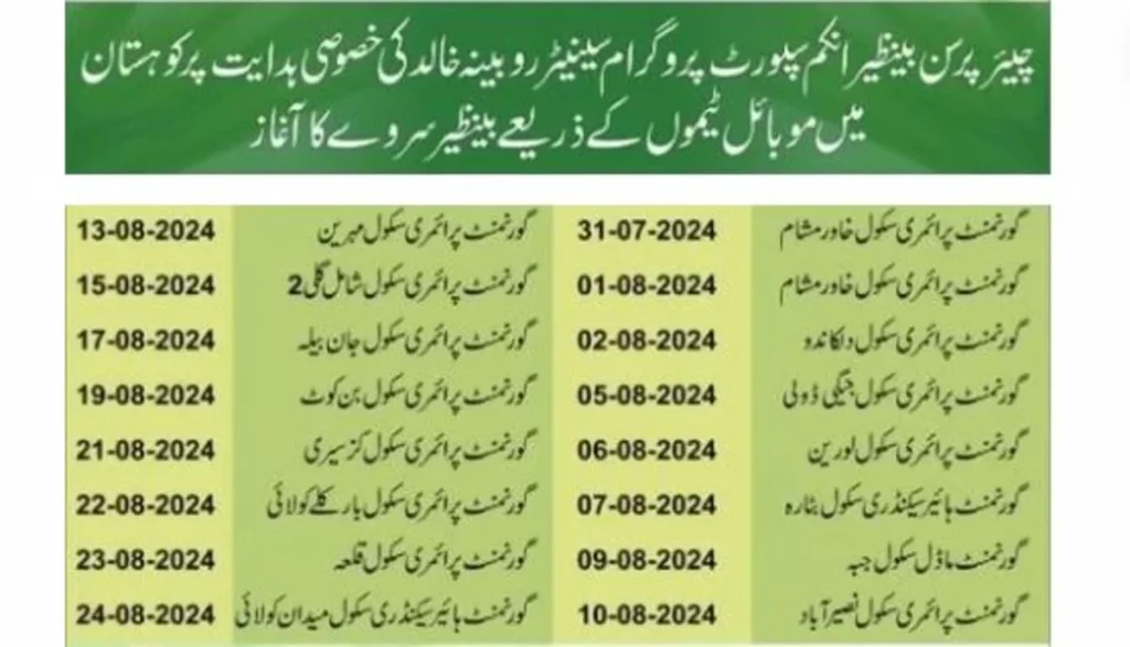 16 Schools in Kohistan Welcome BISP Mobile Survey