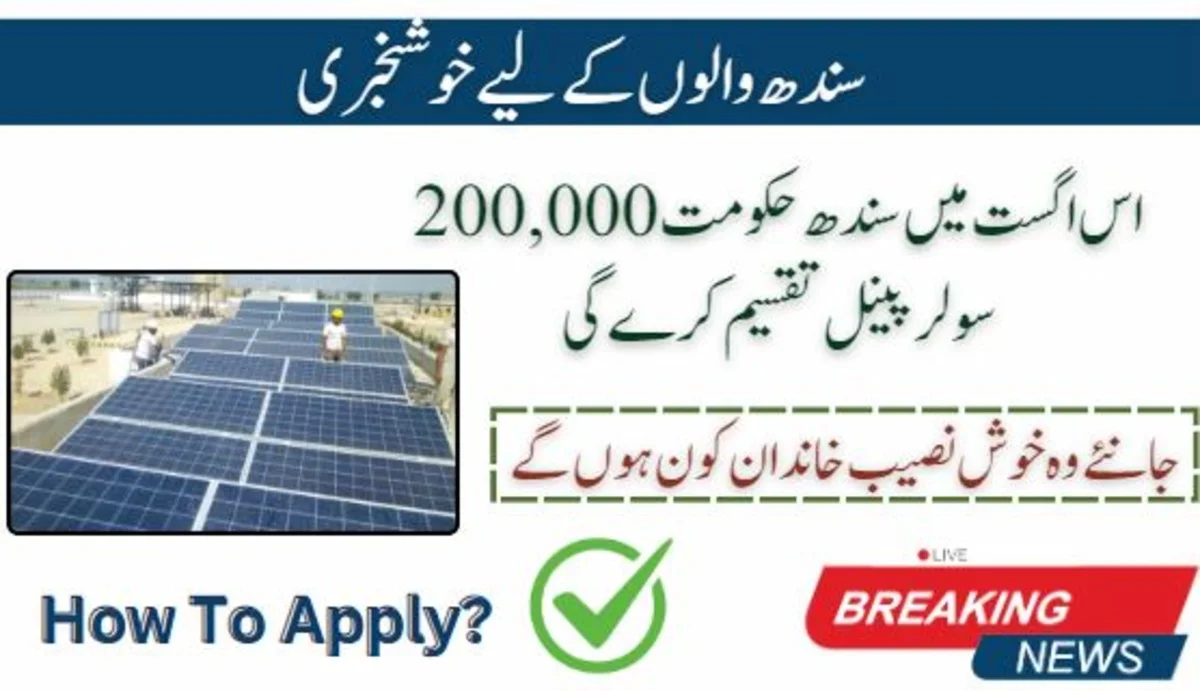 Sindh to distribute 200,000 solar panels in August