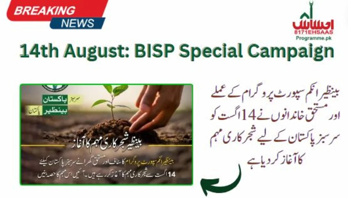 14th August Update: BISP’s 450 Tehsil Offices Launch Tree-Planting Campaign