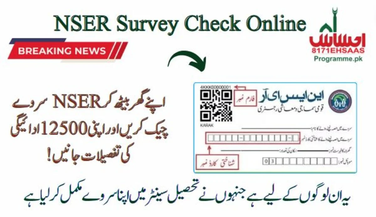 8171 NSER Dynamic Registry Check Online Via BISP Web Page - Know Your 12500 Update!
