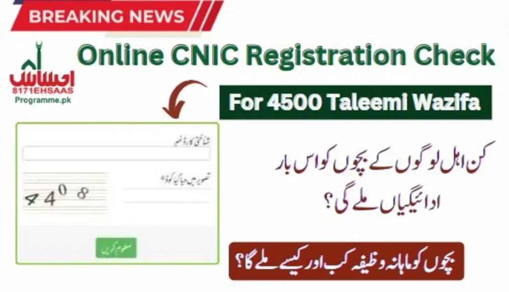 8171 Online Check For Registration In 4500 Taleemi Wazaif Through the BISP Web Portal
