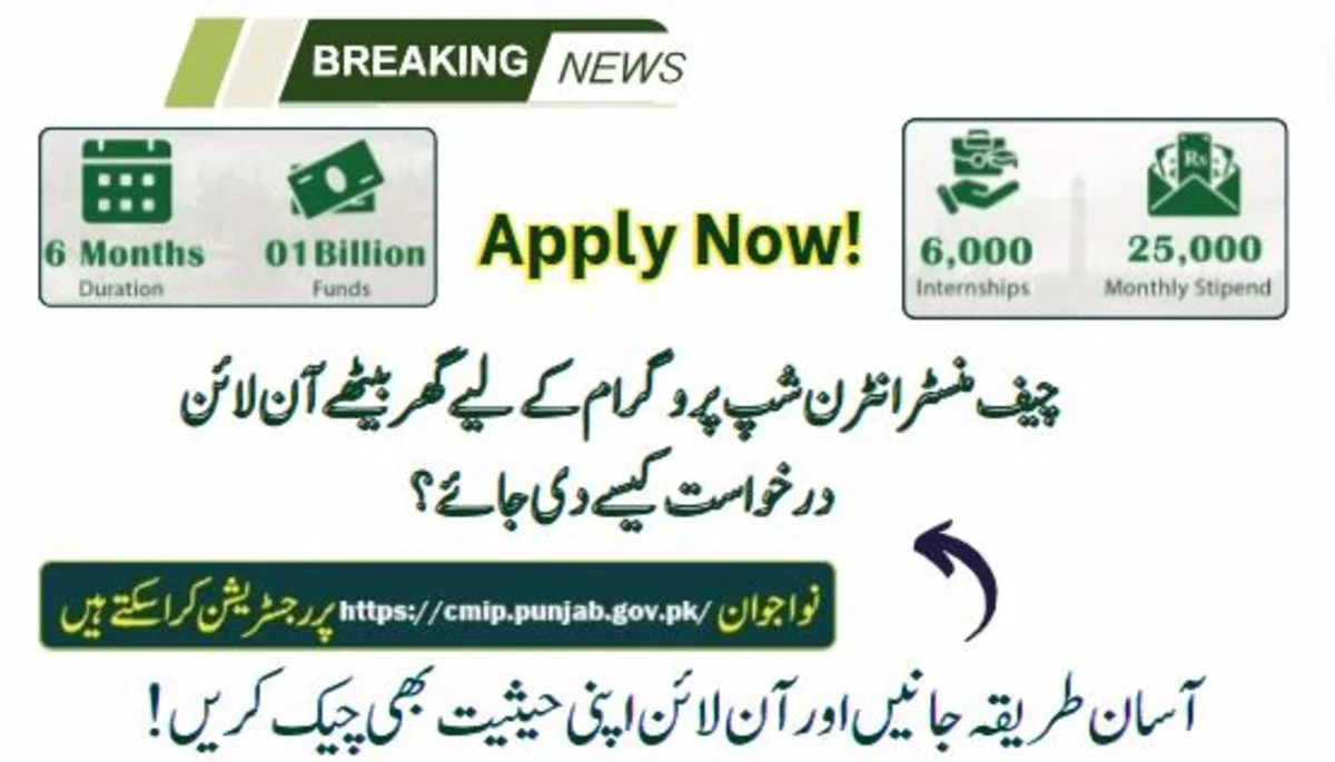 How To Apply For the CM Internship Program Online With 25,000 Rs Per Month