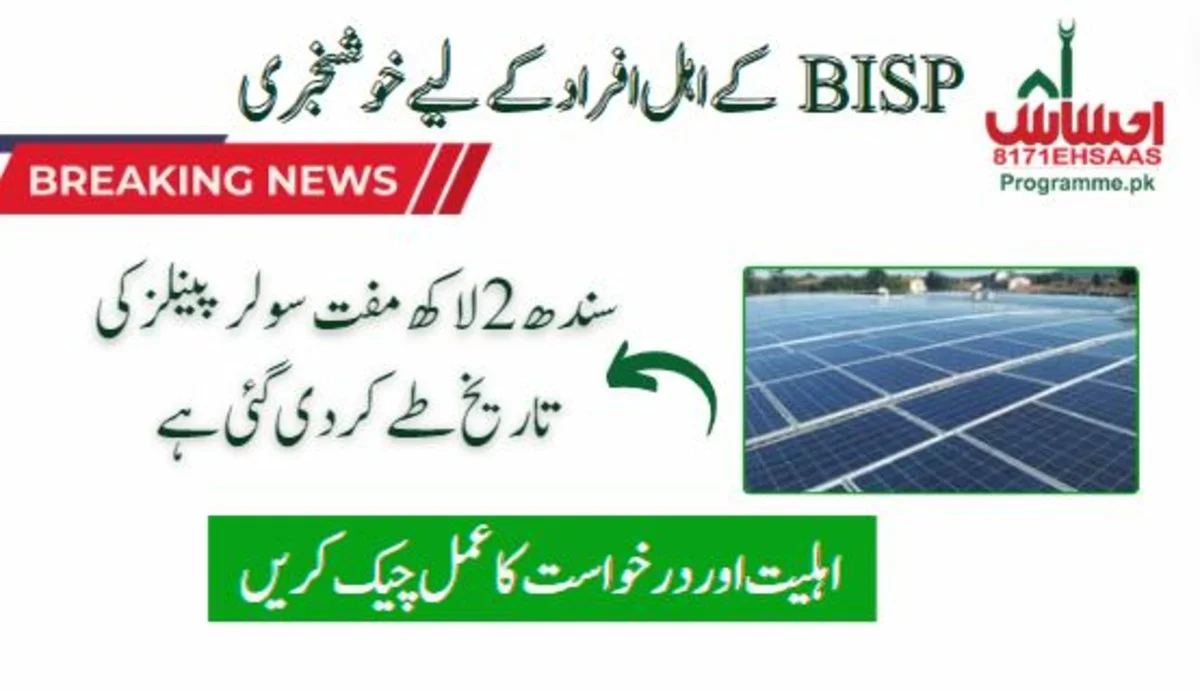 Sindh 2 Lac Free Solar Panels Date Revealed: Check Eligibility and Application Process