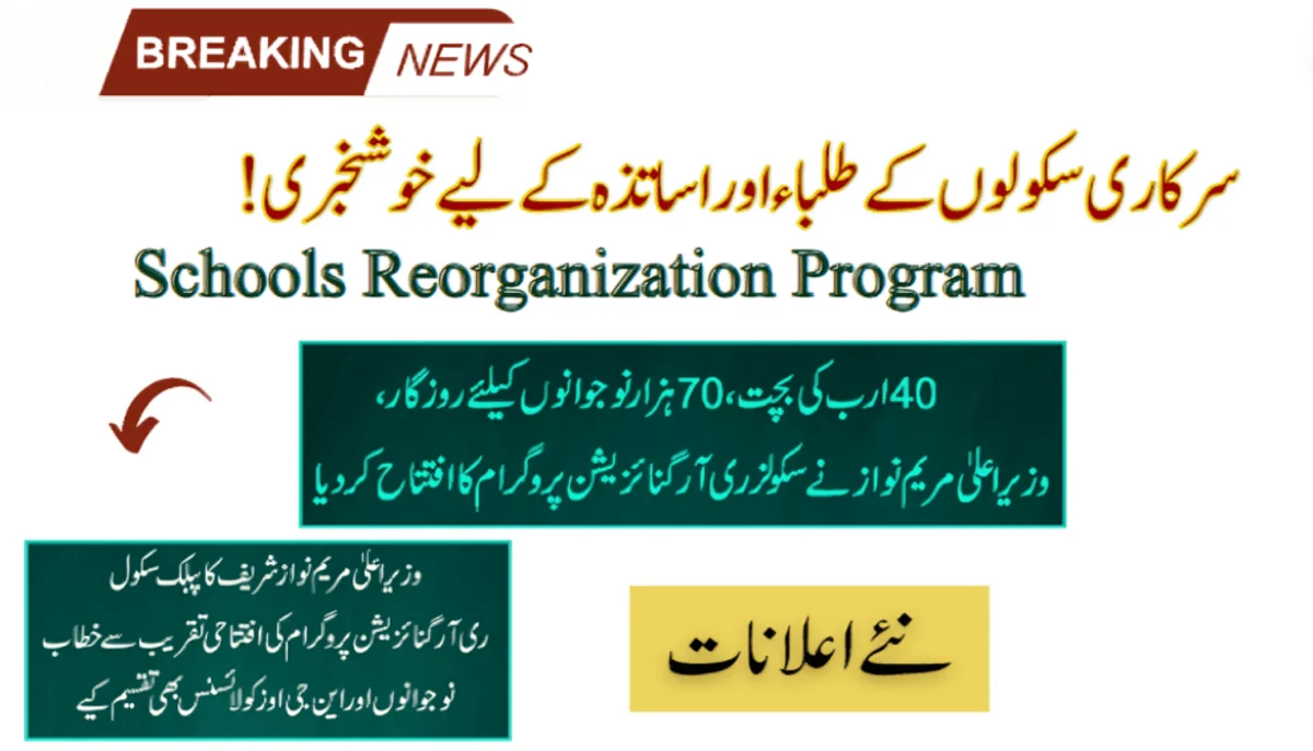 CM Punjab's Schools Reorganizing Program To Save 40Bn & Create 70K Jobs