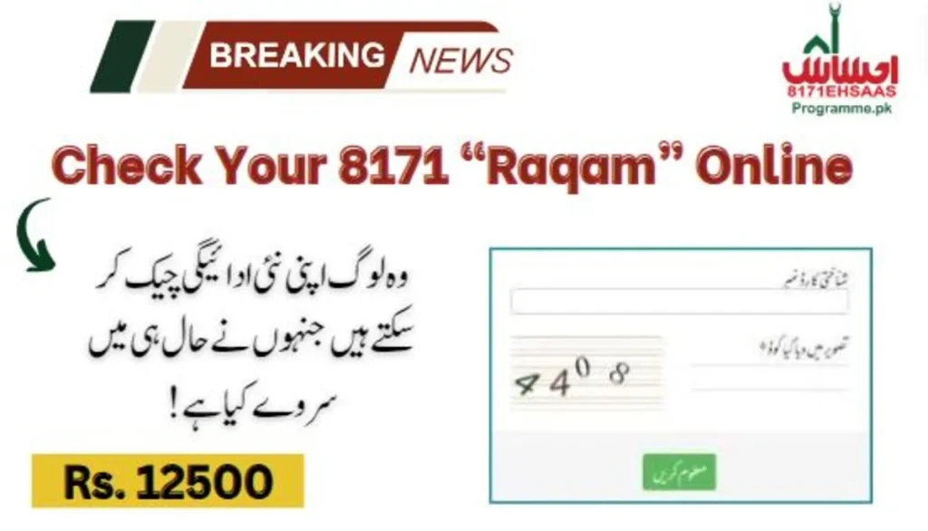 Check Your Raqam Online Through the 8171 Portal