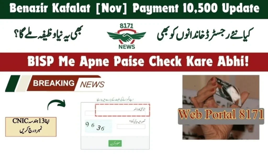 Benazir Paise Check Karo: Complete Method Online OR SMS