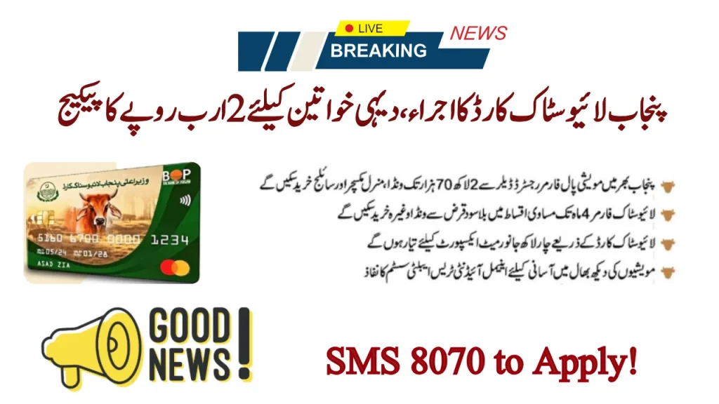 CM Launches Rs 2B Livestock Card for Rural Women: Steps To Apply!