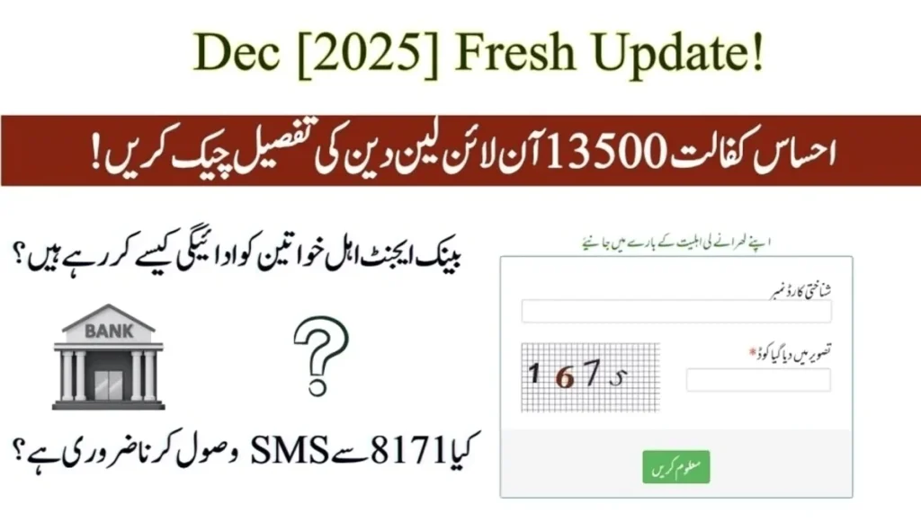 Ehsaas Kafaalat 13500 Online Transaction Detail Check!  