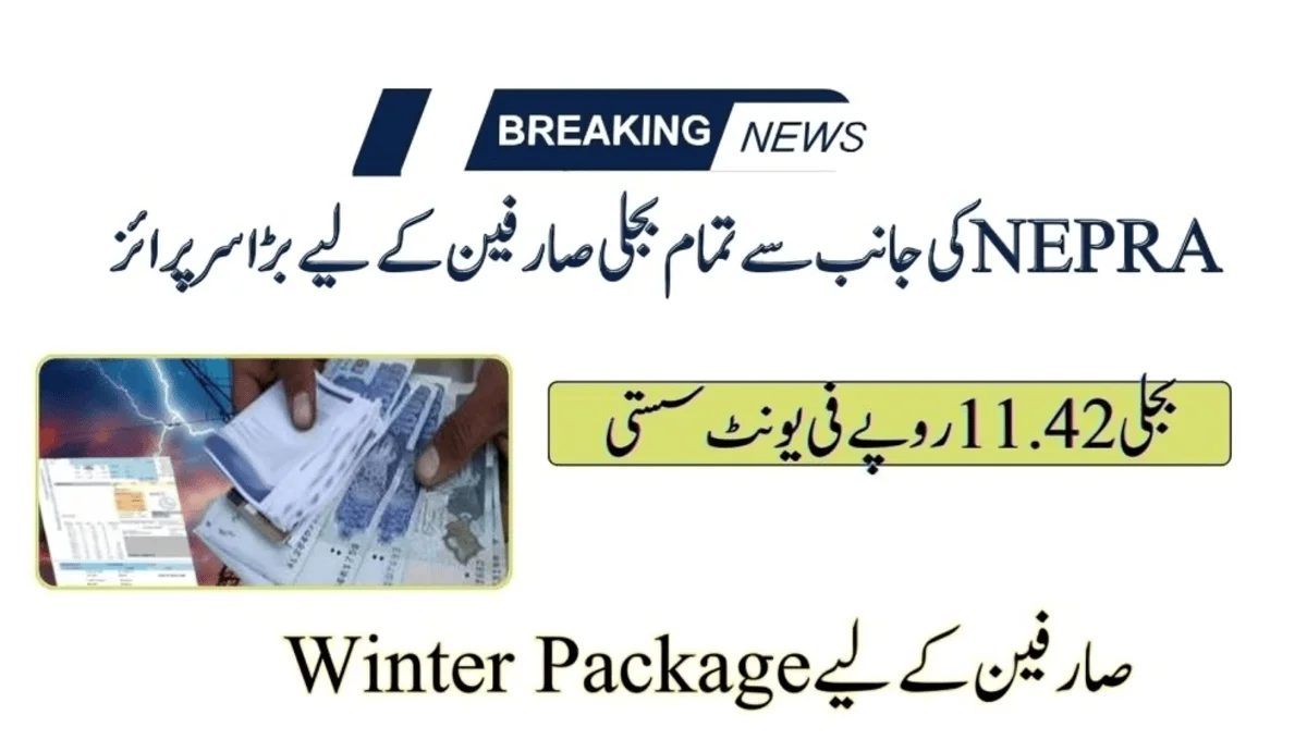 NEPRA Offers Winter Package For Consumers: Rs 11.42/Unit Relief!