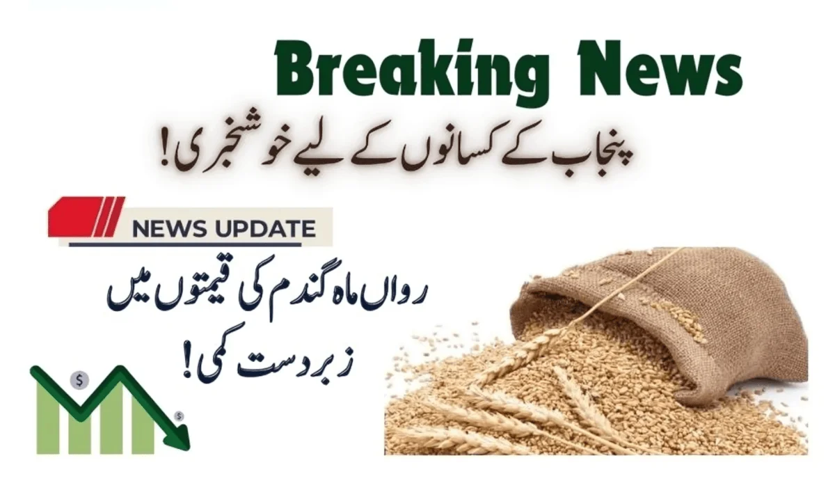 Reduction In Wheat Seeds Prices