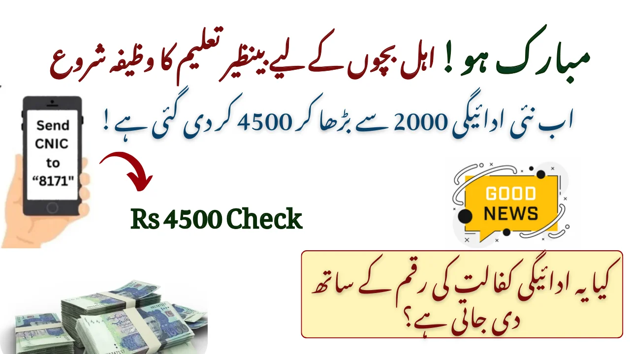 Benazir Taleemi Payment Schedule 2025 - January 