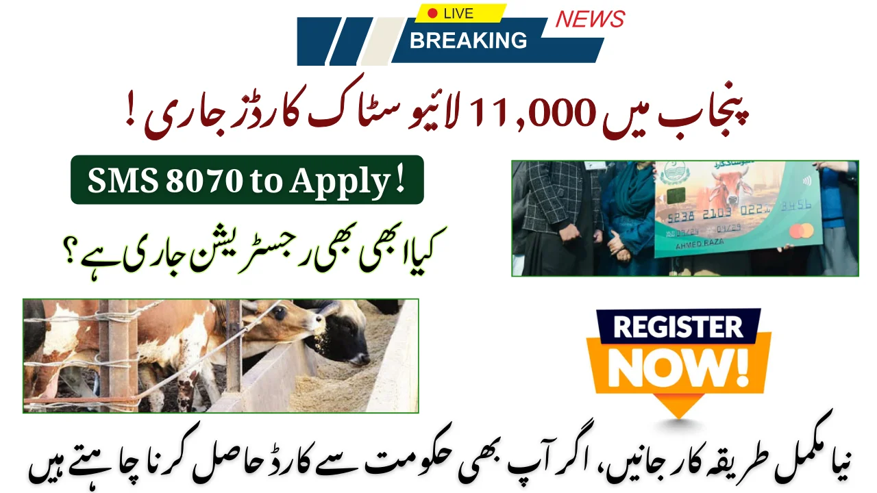 Latest Report: 11,000 Livestock Cards Disbursed In Punjab!