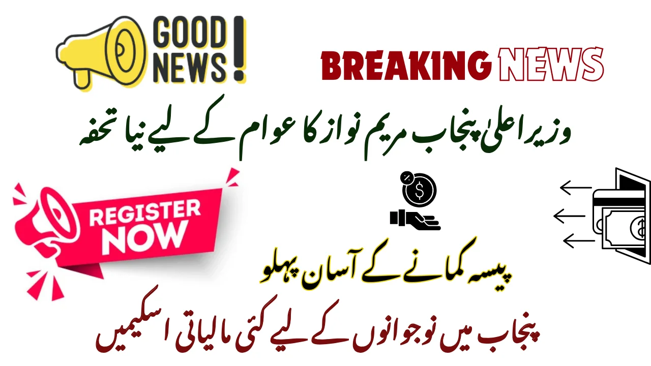 Several Finance Schemes For Youth