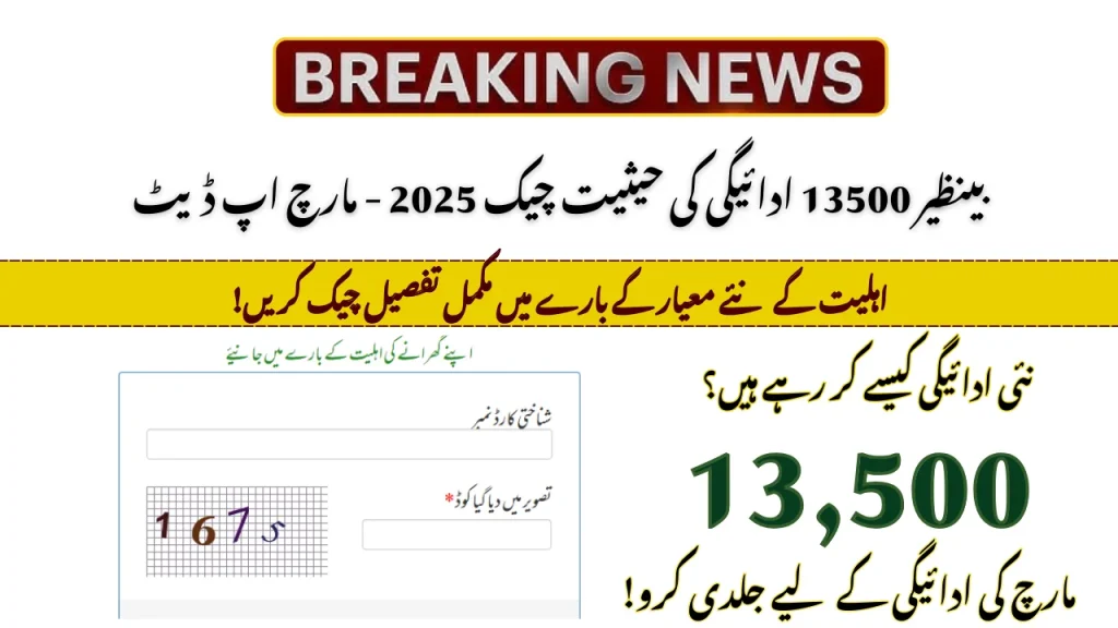 بینظیر 13500 ادائیگی کی حیثیت چیک 2025 - مارچ اپ ڈیٹ