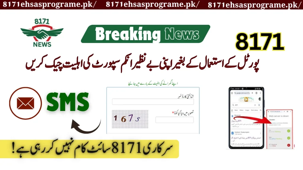 Check Your Benazir Income Support Eligibility Without The Use Of 8171 Portal!